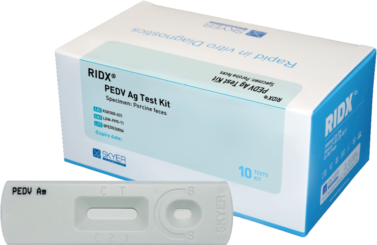 PEDV Ag Test Kit Main